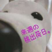 ヒメ日記 2025/10/04 17:39 投稿 ことは 熟女の風俗最終章 新潟店