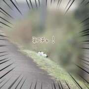 ヒメ日記 2025/10/19 08:53 投稿 ことは 熟女の風俗最終章 新潟店