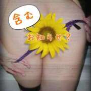 ヒメ日記 2025/12/09 15:33 投稿 ことは 熟女の風俗最終章 新潟店