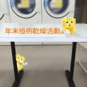 ヒメ日記 2025/12/26 20:13 投稿 ことは 熟女の風俗最終章 新潟店