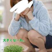 ヒメ日記 2026/03/14 18:53 投稿 ことは 熟女の風俗最終章 新潟店