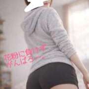 ヒメ日記 2026/04/01 08:33 投稿 ことは 熟女の風俗最終章 新潟店