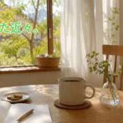 ヒメ日記 2026/05/12 20:03 投稿 ことは 熟女の風俗最終章 新潟店