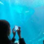 ヒメ日記 2025/08/09 13:07 投稿 神楽まひ★ elumo(エルモ)