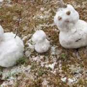 ヒメ日記 2026/01/02 12:29 投稿 神楽まひ★ elumo(エルモ)