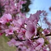 ヒメ日記 2026/03/10 21:14 投稿 神楽まひ★ elumo(エルモ)