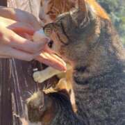 ヒメ日記 2026/03/29 13:07 投稿 神楽まひ★ elumo(エルモ)