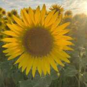 ヒメ日記 2025/08/01 22:03 投稿 ゆめの 佐賀人妻デリヘル 「デリ夫人」