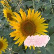 ヒメ日記 2025/08/06 19:16 投稿 ゆめの 佐賀人妻デリヘル 「デリ夫人」