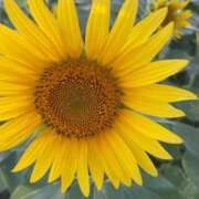 ヒメ日記 2025/09/08 17:48 投稿 ゆめの 佐賀人妻デリヘル 「デリ夫人」