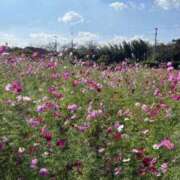 ヒメ日記 2025/11/05 17:08 投稿 ゆめの 佐賀人妻デリヘル 「デリ夫人」