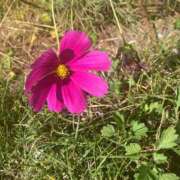 ヒメ日記 2025/11/08 22:38 投稿 ゆめの 佐賀人妻デリヘル 「デリ夫人」