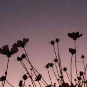 ヒメ日記 2025/11/27 18:50 投稿 ゆめの 佐賀人妻デリヘル 「デリ夫人」