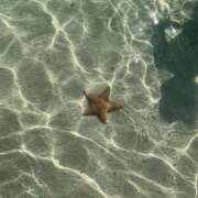 ヒメ日記 2025/08/14 11:54 投稿 より 沖縄素人図鑑