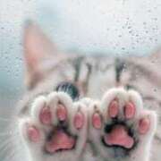 ヒメ日記 2025/08/18 01:36 投稿 より 沖縄素人図鑑