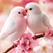 ヒメ日記 2025/09/07 02:57 投稿 より 沖縄素人図鑑