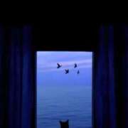 ヒメ日記 2025/09/07 17:57 投稿 より 沖縄素人図鑑