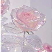 ヒメ日記 2025/09/12 20:00 投稿 より 沖縄素人図鑑