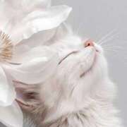 ヒメ日記 2025/09/14 23:39 投稿 より 沖縄素人図鑑