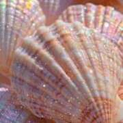 ヒメ日記 2025/09/21 20:09 投稿 より 沖縄素人図鑑