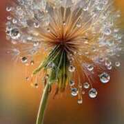 ヒメ日記 2025/10/05 20:07 投稿 より 沖縄素人図鑑