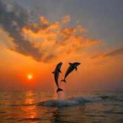 ヒメ日記 2025/10/05 23:33 投稿 より 沖縄素人図鑑