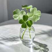 ヒメ日記 2025/10/13 23:00 投稿 より 沖縄素人図鑑