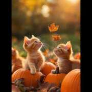 ヒメ日記 2025/10/15 00:42 投稿 より 沖縄素人図鑑