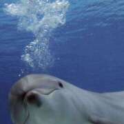 ヒメ日記 2025/10/17 14:06 投稿 より 沖縄素人図鑑