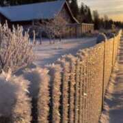 ヒメ日記 2025/11/14 22:18 投稿 より 沖縄素人図鑑