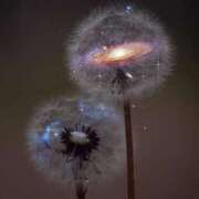 より むかってます！ 沖縄素人図鑑