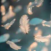 ヒメ日記 2026/01/02 19:03 投稿 より 沖縄素人図鑑