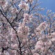 ヒメ日記 2026/04/05 18:14 投稿 美神穂乃花 五十路マダム金沢店