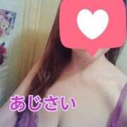 ヒメ日記 2025/07/25 15:28 投稿 あじさい 日暮里・西日暮里サンキュー