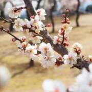 ヒメ日記 2026/02/15 08:24 投稿 あや Queen Angel(クイーンエンジェル)