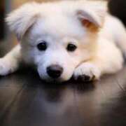 ヒメ日記 2026/03/22 23:03 投稿 あや Queen Angel(クイーンエンジェル)