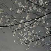 あや 面目ない>_<💦 Queen Angel(クイーンエンジェル)