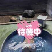 ヒメ日記 2025/09/24 13:46 投稿 らん 待ちナビ