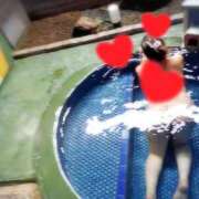 ヒメ日記 2025/09/29 19:09 投稿 らん 待ちナビ