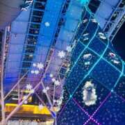 ヒメ日記 2025/11/19 08:57 投稿 らん 待ちナビ