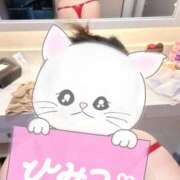 ヒメ日記 2025/12/06 09:34 投稿 らん 待ちナビ