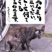 ヒメ日記 2026/01/14 14:40 投稿 らん 待ちナビ