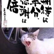 ヒメ日記 2026/01/21 08:25 投稿 らん 待ちナビ