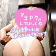 ヒメ日記 2026/02/27 08:55 投稿 らん 待ちナビ