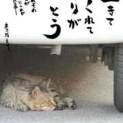 ヒメ日記 2026/06/29 13:08 投稿 らん 待ちナビ