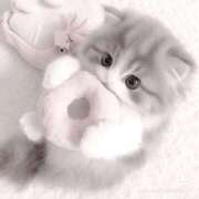 ヒメ日記 2025/11/03 15:07 投稿 すずね・SP 西川口ティアラ