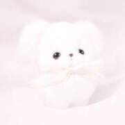 ヒメ日記 2025/11/09 18:58 投稿 すずね・SP 西川口ティアラ