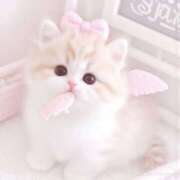 ヒメ日記 2025/11/22 10:13 投稿 すずね・SP 西川口ティアラ