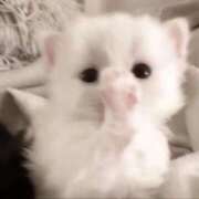 ヒメ日記 2025/11/29 15:14 投稿 すずね・SP 西川口ティアラ