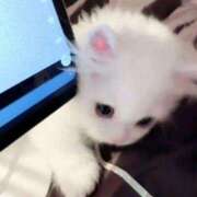 ヒメ日記 2025/12/01 17:55 投稿 すずね・SP 西川口ティアラ